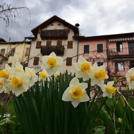 Lejlighed “oltre Il Confine”