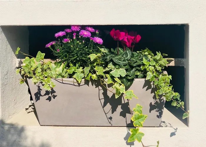 Apartamento “oltre Il Confine” *